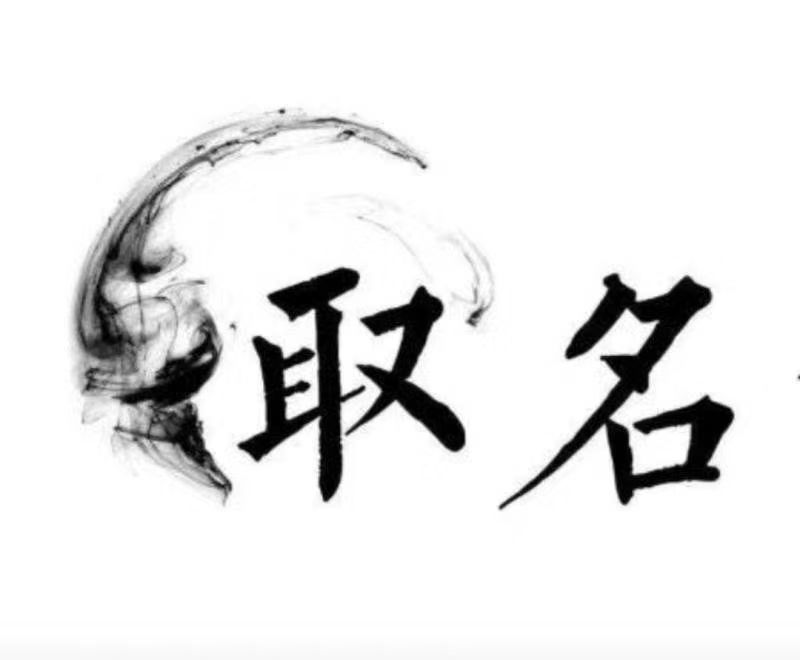  前锋宝宝取名 大师一对一人工起名